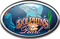 dolphins (дельфины)